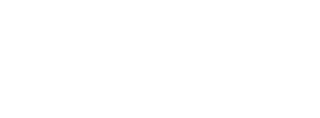 DealerSocket